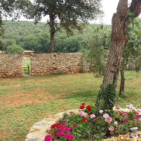 La Tenuta Di Castelvecchio San Gimignano Ngoại thất bức ảnh