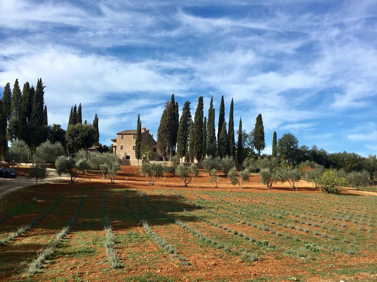 La Tenuta Di Castelvecchio San Gimignano Ngoại thất bức ảnh